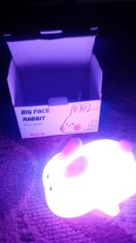 Silicon Rabbit Lamp - Cute Lamps - Rechargeable Rabbit Lamp With Touch Sensor - Bunny Night Lamps for Kids - Image 2